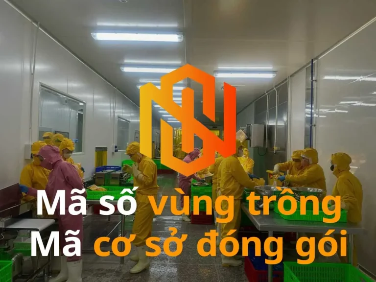 Đăng Ký Mã Số Vùng Trồng & Mã Cơ Sở Đóng Gói