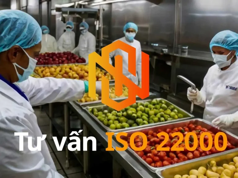tư vấn ISO 22000