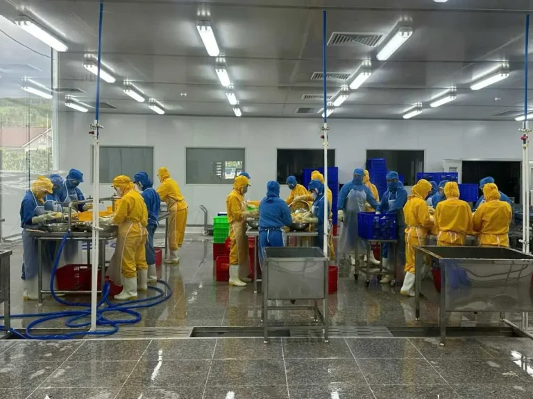 SNI tư vấn GACC trái cây động lạnh cho Blue Ocean