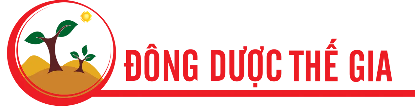 dong-duoc-the-gia