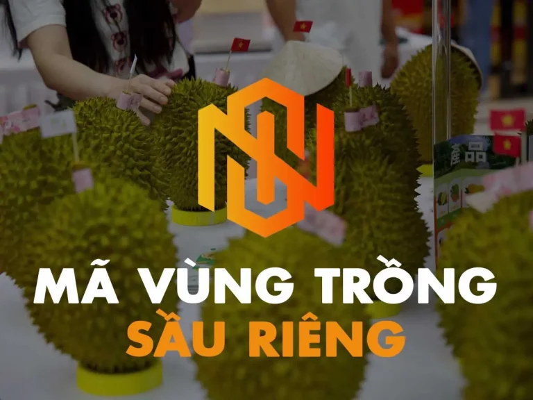 mã số vùng trồng sầu riêng