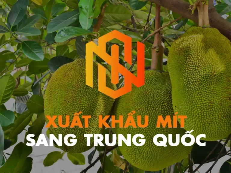 xuất khẩu mít sang Trung Quốc