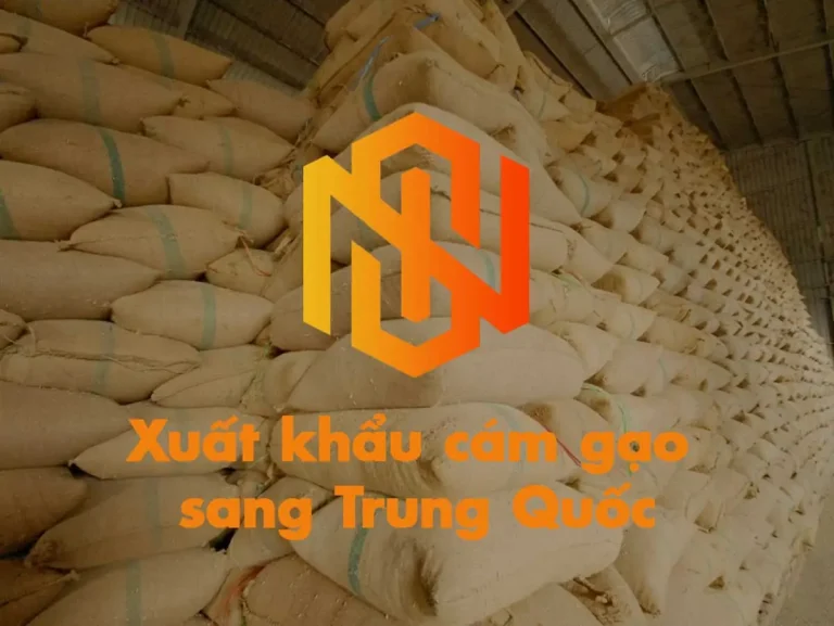 Xuất khẩu cám gạo sang Trung Quốc