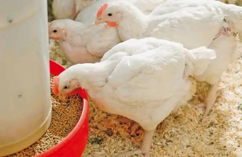 Hệ thống yêu cầu của GACC