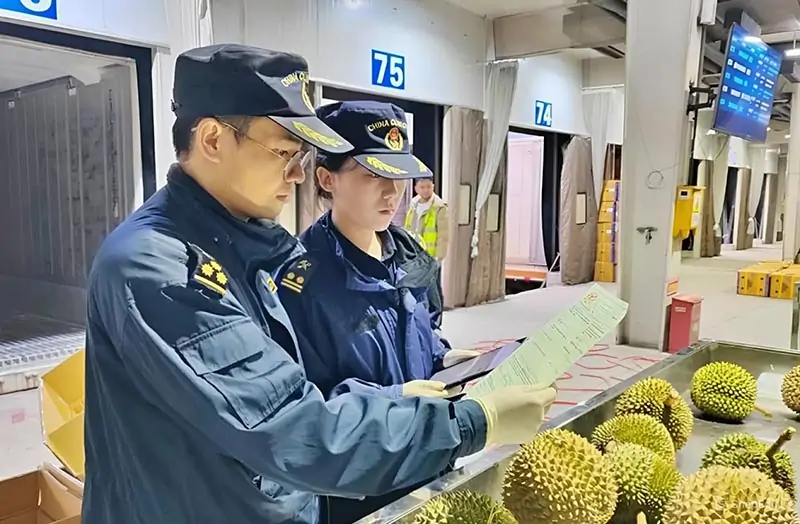 Điều kiện và lưu ý khi khai báo nhập khẩu