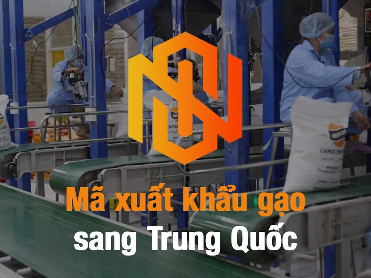 đăng ký mã xuất khẩu gạo sang Trung Quốc