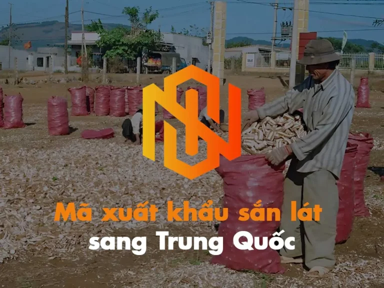 Mã GACC xuất khẩu sắn lát sang Trung Quốc