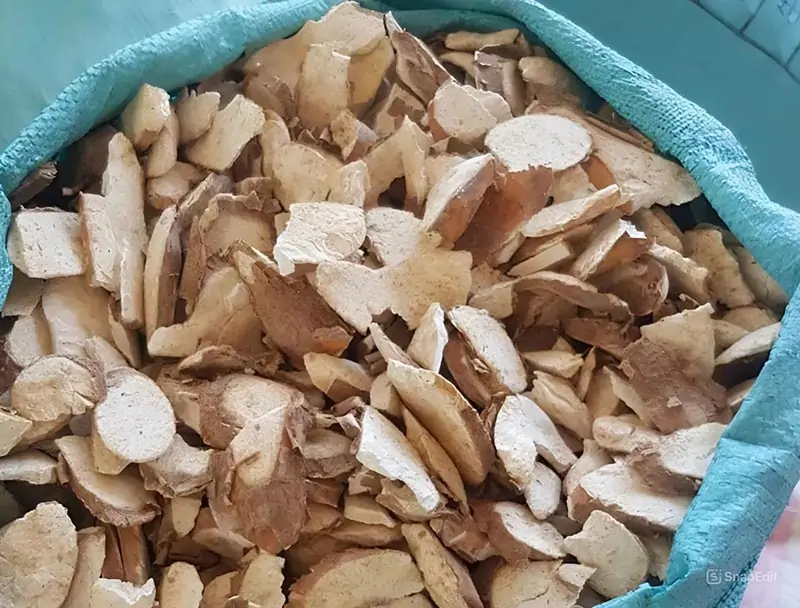 Khung pháp lý và yêu cầu tuân thủ GACC đối với sắn lát