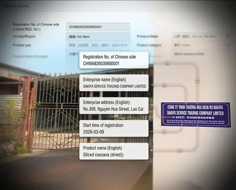 Đăng ký mã GACC xuất khẩu sắn lát công ty DAKIFA