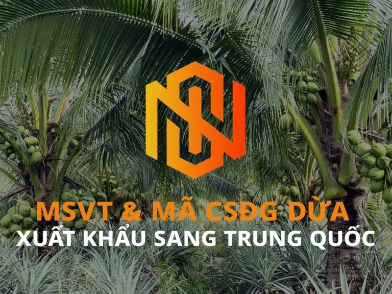 xuất khẩu dừa sang Trung Quốc