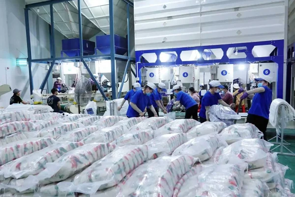 bãi bỏ giấy phép xuất khẩu gạo