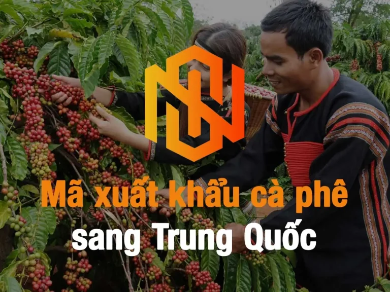 xuất khẩu cà phê sang Trung Quốc
