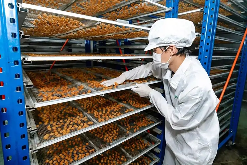Lợi ích khi doanh nghiệp cà phê đăng ký GACC qua SNI Việt Nam