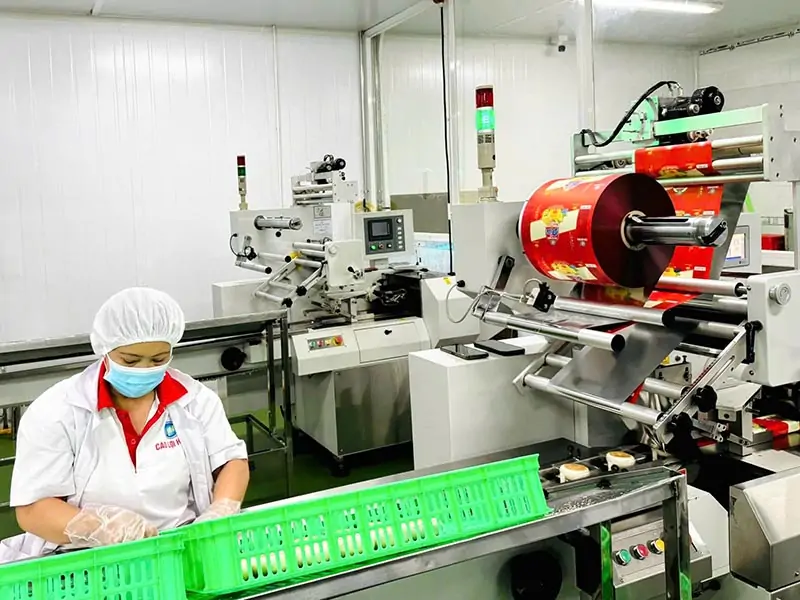 Về Công Ty Cao Lợi Hưng Việt Nam