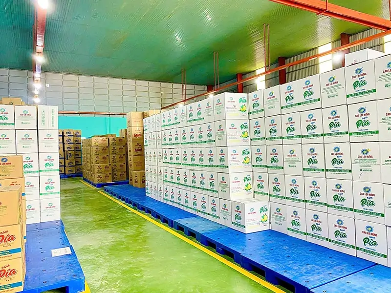 Cam Kết Của SNI Việt Nam