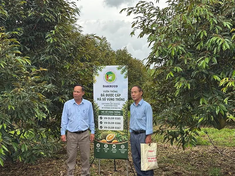 Định hướng phát triển của SNI Việt Nam