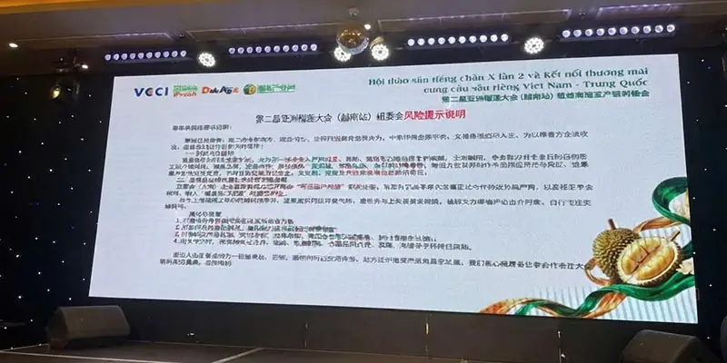 III. ĐỊNH HƯỚNG TƯƠNG LAI – XÂY DỰNG HỆ SINH THÁI XUẤT KHẨU BỀN VỮNG
